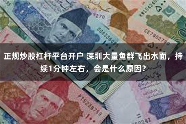 正规炒股杠杆平台开户 深圳大量鱼群飞出水面，持续1分钟左右，会是什么原因？