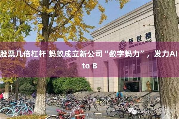 股票几倍杠杆 蚂蚁成立新公司“数字蚂力”,发力AI to B