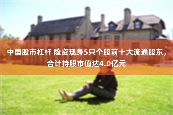 中国股市杠杆 险资现身5只个股前十大流通股东，合计持股市值达4.0亿元