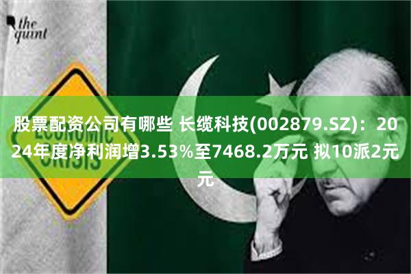 股票配资公司有哪些 长缆科技(002879.SZ)：2024年度净利润增3.53%至7468.2万元 拟10派2元