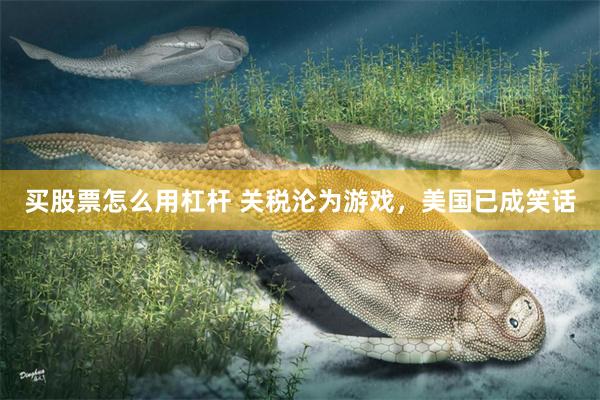 买股票怎么用杠杆 关税沦为游戏，美国已成笑话