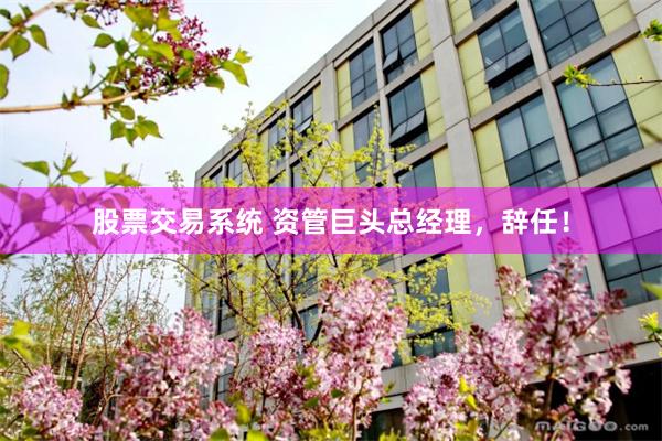 股票交易系统 资管巨头总经理，辞任！