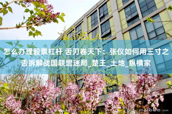 怎么办理股票杠杆 舌刃卷天下：张仪如何用三寸之舌拆解战国联盟迷局_楚王_土地_纵横家