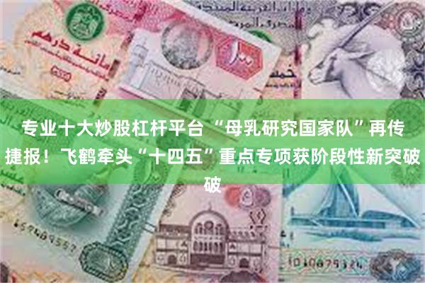 专业十大炒股杠杆平台 “母乳研究国家队”再传捷报！飞鹤牵头“十四五”重点专项获阶段性新突破