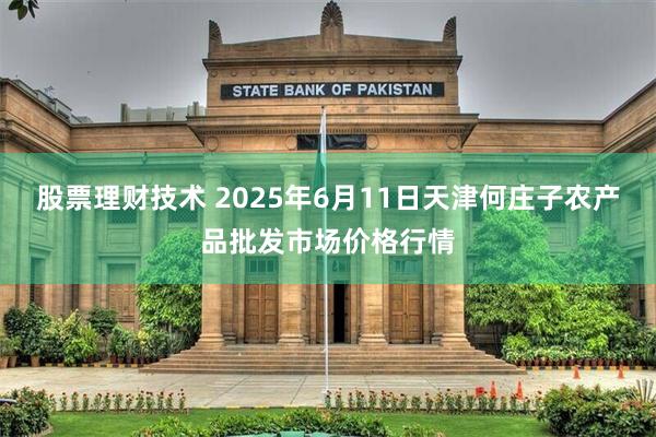 股票理财技术 2025年6月11日天津何庄子农产品批发市场价格行情