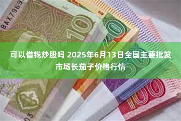 可以借钱炒股吗 2025年6月13日全国主要批发市场长茄子价格行情