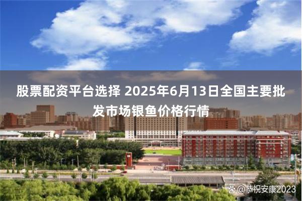 股票配资平台选择 2025年6月13日全国主要批发市场银鱼价格行情