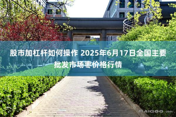 股市加杠杆如何操作 2025年6月17日全国主要批发市场枣价格行情