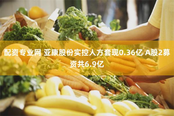 配资专业网 亚康股份实控人方套现0.36亿 A股2募资共6.9亿