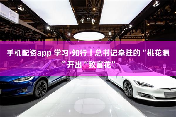 手机配资app 学习·知行丨总书记牵挂的“桃花源”开出“致富花”